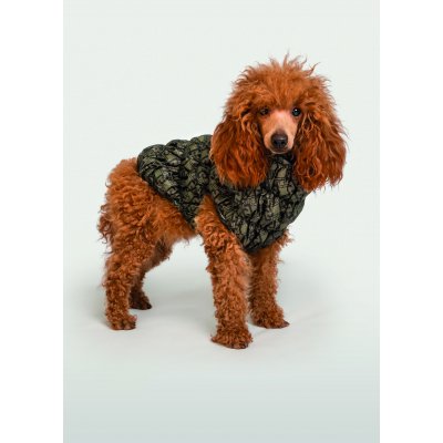 LIU JO Prošívaná bundička pro psy tmavě zelená military LJ vel. L - LIU JO PETS-CATALOGO SPRING SUMMER hi resolution-325.jpg